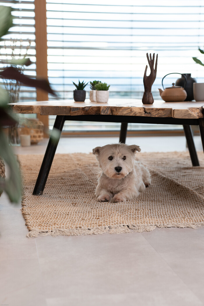 Virtuo Clem Around The Corner tendance minimaliste Virtuo Clem Around The Corner tendance minimaliste