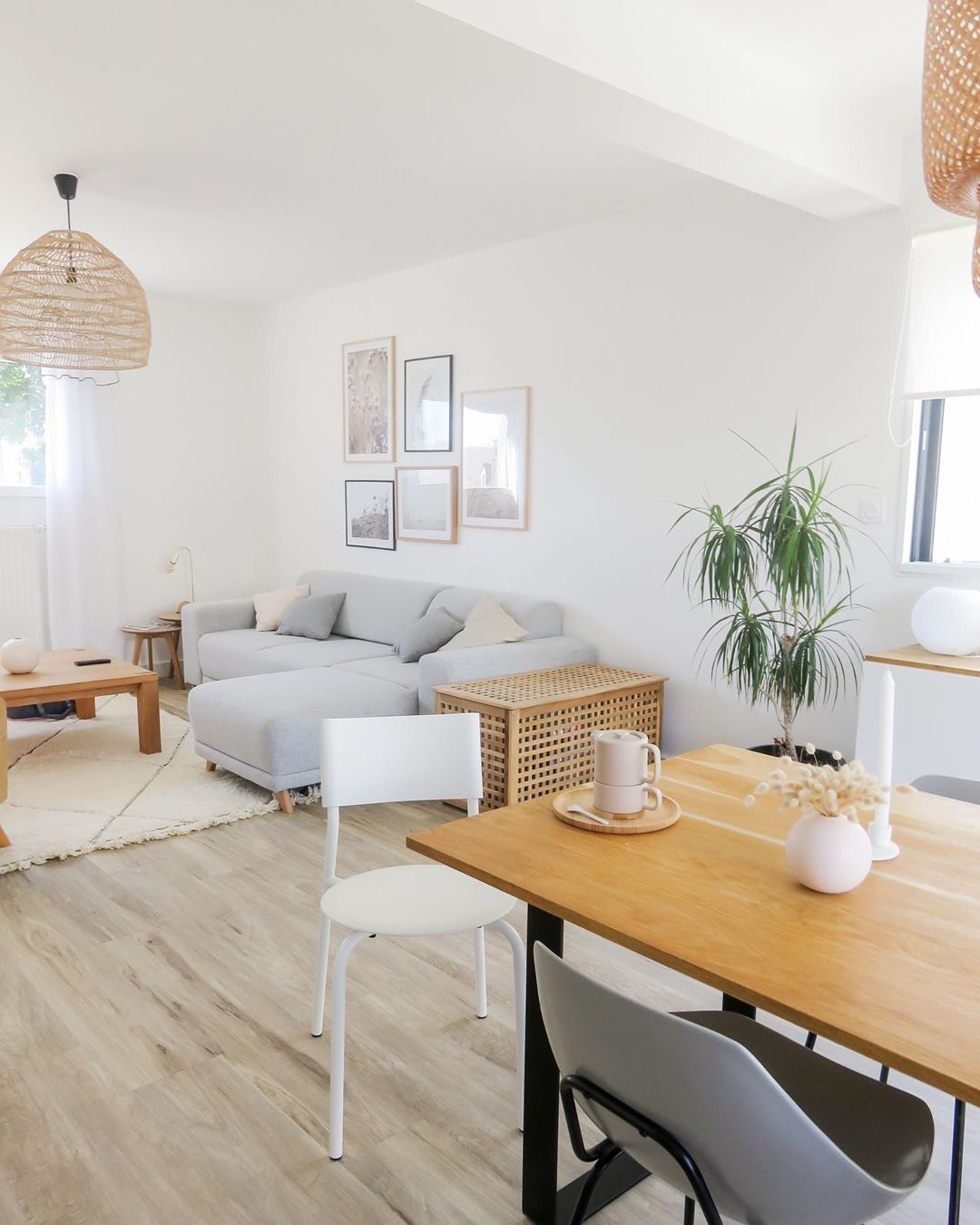 orchidee home orchidee home