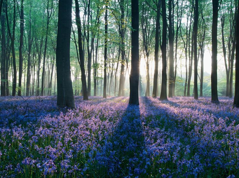 gerflor-conception-biosourcees