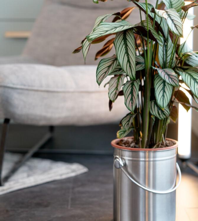 clem_around_the_corner_tendance_loft_industriel clem_around_the_corner_tendance_loft_industriel