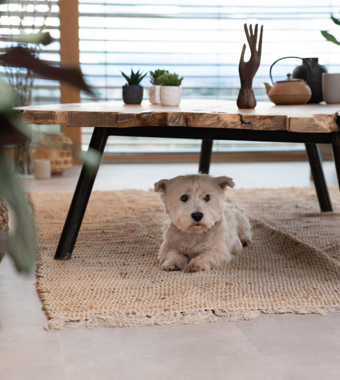 clem around the corner virtuo minimalist trend